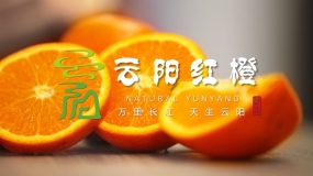 产品特色-云阳县农业农村委员会-20210702-封面图01.jpg