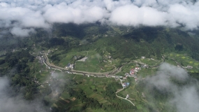 产品特色-咸丰县茶叶工作局-20210720-封面图 01-俯瞰泗坝蓝河两岸的茶园.JPG